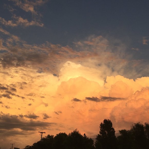 Meet your Posher, Shakyra - Picture 1 of 1